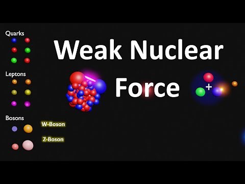 Weak Nuclear Force Explained | Weak Force | What Causes Weak Nuclear Force | Strong Nuclear Force