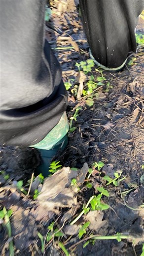 Mud Walk Adventure on Boxing Day