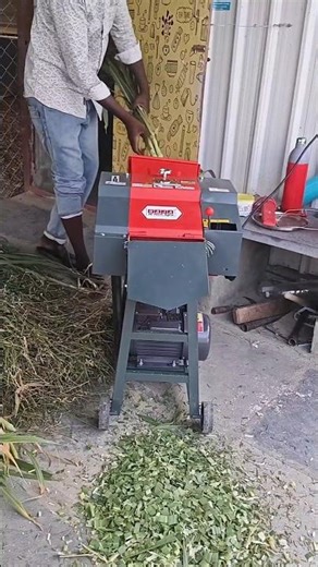 chap cutter machine #sheepfarming #explorepage #villagerlifestyle #goatfarming #farm #agriculture