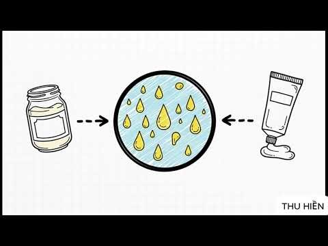 Final review of semester 1. Grade 6