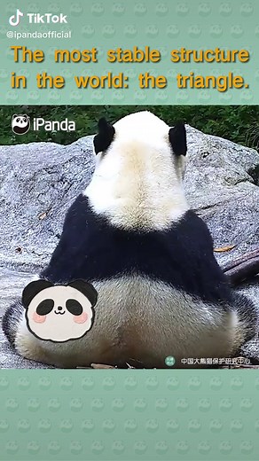 The Science Behind the World's Most Stable Structure: The Triangle