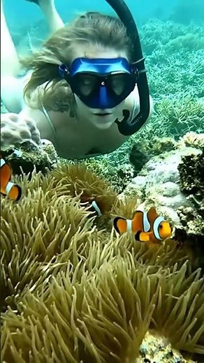REAL-LIFE FINDING NEMO! Snorkeler Swims with a Family of Clownfish! 🐠😍 | Magical Ocean Moment