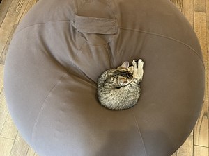 ヨギボーYogiboビーズクッション-7つのメリット,5つのデメリット