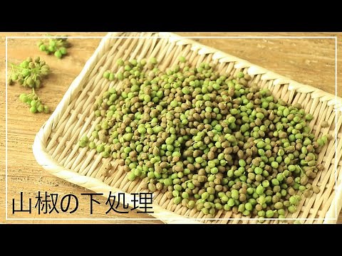 山椒の下処理【料理の基本】【簡単】【季節の手仕事】
