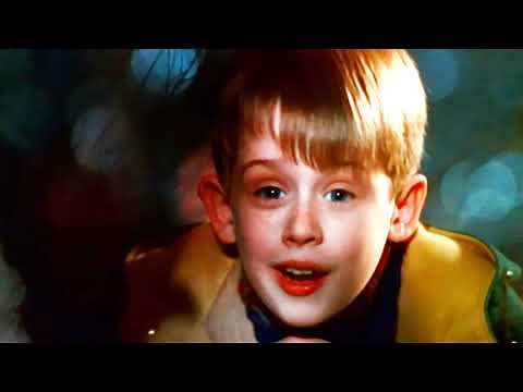 Home Alone 2 Wet Bandits arrested