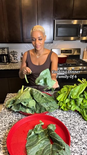 Jessica Haynes on Instagram: "Cooking Dinner | Smothered Cube Steaks Over Brown Rice | Baked Mac & Cheese With Smoked Sausage | Mixed Greens With Turnips | Honey Cornbread • • • #homecooking #explore #explorepage #fyp #fypシ #foodie #familydinner #dinner #cooking #foodporn"