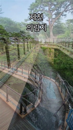 #의림지#제천여행#국내여행지추천 #korea #여행 #맛집 #국내여행#제천가볼만한곳#충북여행지##충북투어#충청북도