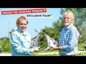 PIPA Visits the Verkerk Olympic Pigeon Mansion! 🏆🐦 Exclusive Live Tour
