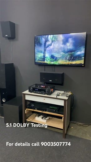 5.1 DOLBY&DTS AMP Testing