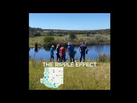 The Ripple Effect tours SW WA