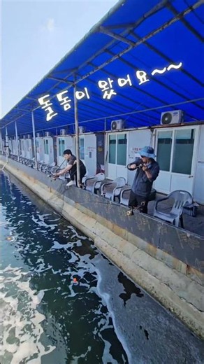 만정사계절바다낚시터 #영종도낚시터 #가족낚시터 #초보낚시터 #우럭낚시 #도다리낚시 #영종도여행 #농어낚시 #대방어 #대광어 #참돔낚시 #감성돔낚시 #돌돔낚시 #자바리 #민어