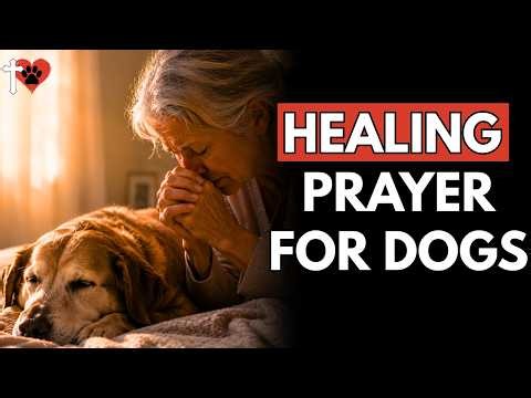 Powerful Prayer for Dog Healing | A Miracle Prayer for Your Beloved Dog