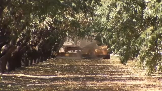 Data shows record year for California agriculture in 2024