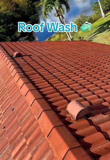 You know I keep it clean👌 #satisfying #exteriorcleaning #palmbeach #windowcleaning #softwash