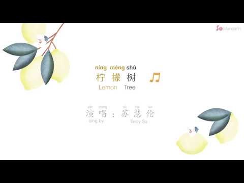 Lemon Tree lyrics with pinyin 《柠檬树》 苏慧伦