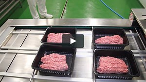 BAX_Q7_Intro and How PCR Works