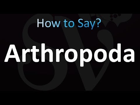 How to Pronounce Arthropoda (Correctly!)