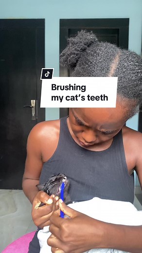 How to Brush Your Cat's Teeth: A Complete Guide