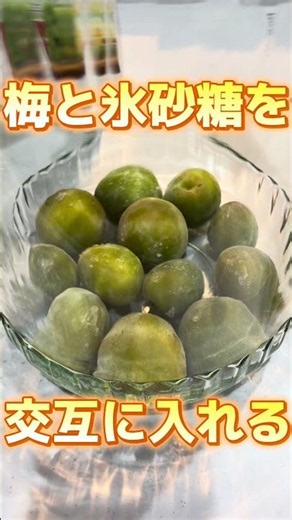 おいしい梅酒の作り方。梅を一度凍らせて！１日１回瓶を振り撹拌させて３ヶ月で出来上がり！#梅酒 #簡単レシピ #お酒