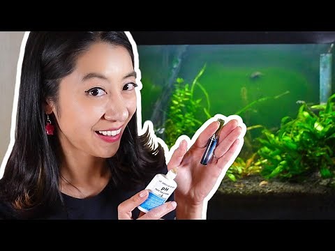 Aquarium pH, GH, and KH for BEGINNERS​