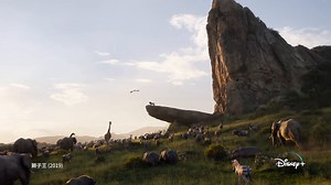 全新串流平台 Disney 11月12日正式登台 六大標誌性品牌，一次囊括∣迪士尼、皮克斯、漫威、星際大戰、國家地理及Star 盡覽上千部熱門電影、影集∣熱門電影、經典鉅作、獨家影集、本土原創、優質節目 📺標準月費方案：新台幣 270 / 月 📺超值年費方案：新台幣 2,790 / 年 📋特色服務：支援4個裝置同時觀看∣最高設置7個不同帳戶∣ 10個裝置下載影音內容∣線上同步觀賞功能∣兒童友善介面 👉 想要收到最新消息，請手刀前往 www.disneyplus.com 或請上網搜尋Disney #DisneyPlus #迪士尼 #皮克斯 #漫威 #星際大戰 #國家地理 #Star | Disney