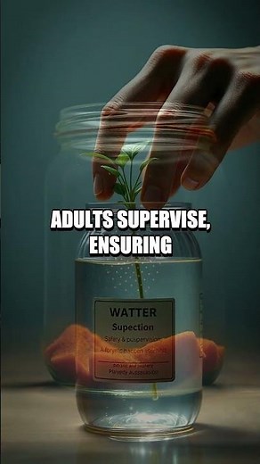 Microhabitat in a Jar A Safe Family Ecosystem Project