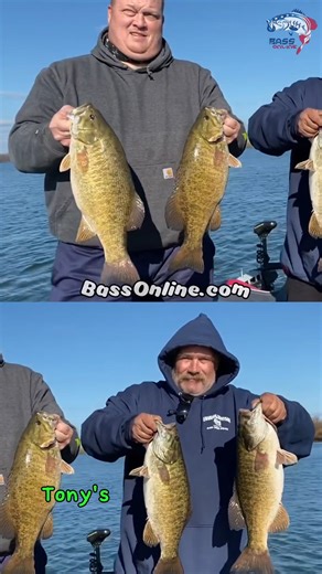 16 reactions | Chasing smallmouth bass on Lake Erie with the crew! ☀️ #bassfishing #lakeerie #fishinglife #fishingtrip #reelsinstagram #reelsfb #foryou #tiktok #bassonline | BassOnline | Facebook