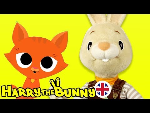 Baby Learning First Words w Harry the Bunny | Cat | @BabyFirst Learn Colors, ABCs, Rhymes & More ​
