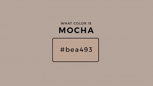 What Color Is Mocha? About Mocha Color