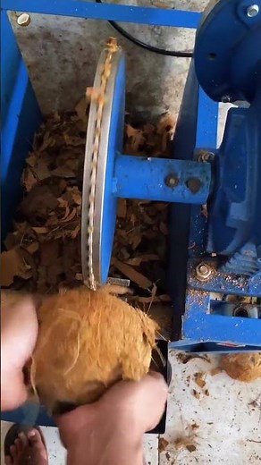 Coconut Dehusking Machine | Fast and Powerful Coconut Processing