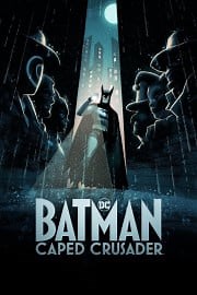Watch Batman: Caped Crusader Season 1 Episode 5 - The Stress of Her Regard