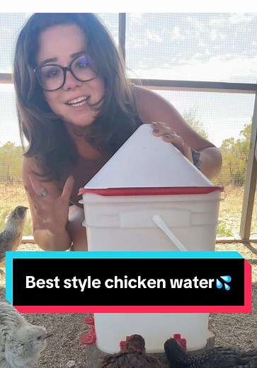The Best Chicken Waterer: A Game Changer for Farmers