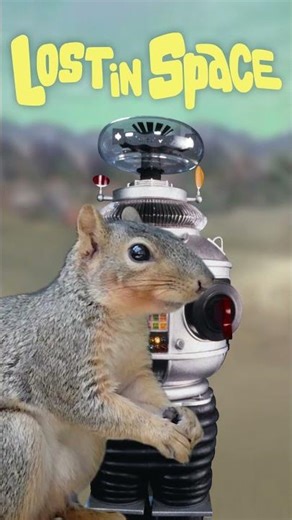 Squirrels Insult Robot