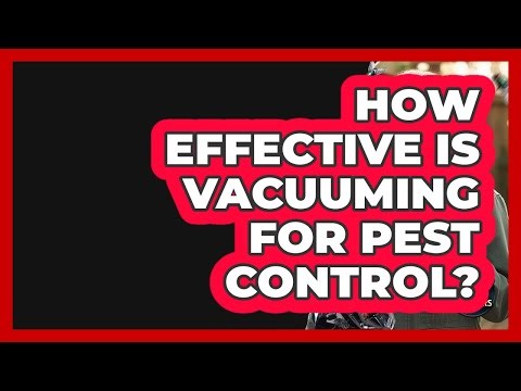 How Effective Is Vacuuming For Pest Control? - Insects and Invaders