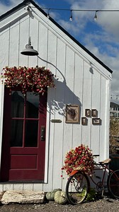 5.1K views · 242 reactions | Cute fall activity in Utah The...