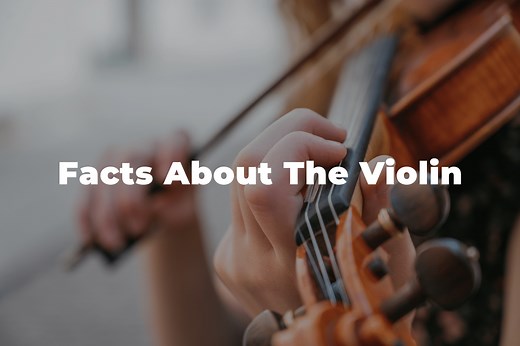 10 Fun And Interesting Facts About The Violin You Should Know