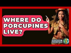 Where Do Porcupines Live? - Ecosystem Essentials