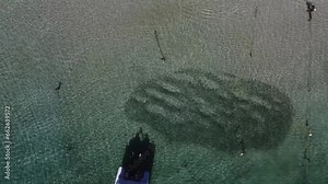 Large bait ball school of fish makes patterns in shallow water, aerial