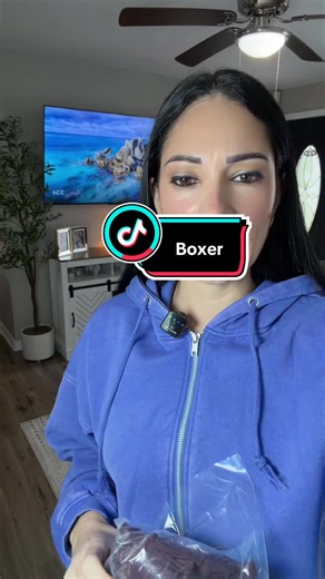 Boxer Training Techniques for Men