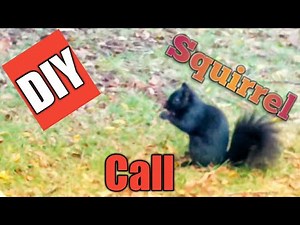 DIY: Cutter Call (Squirrel Hunting)