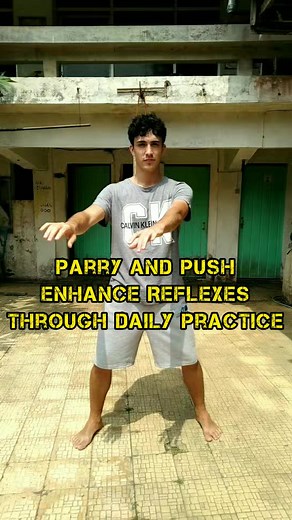 Parry and Push: Enhance Reflexes through Daily Practice #kungfu #wingchun #selfdefense #martialarts #kungfutechniques Master self-defense techniques by consistent daily practice. | Santosa Laksana