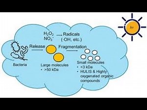 Photooxidation; chemical process where light energy triggers the oxidation of molecules