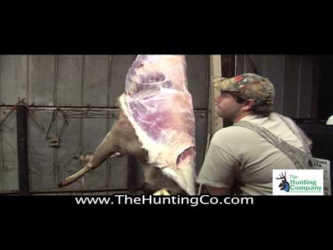 The Easiest and Quickest Way to Skin a Deer