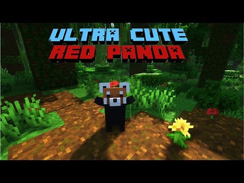 YDM'S Red Panda Mod Showcase [Forge/Fabric] -Minecraft [1.19.2/1.19.3] Mod Showcase
