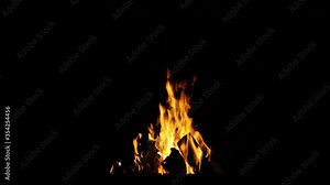 A tree burning at night, firewood burns at night in a bonfire 100fps. Fire burning at night on a black background. Bonfire burning at night on a black background. Fire burning on a dark background