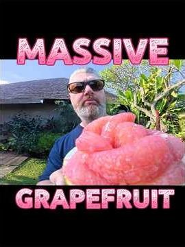 Massive Grapefruit From Indonesia—Worth the Hype? #foodreview #exoticfruit #tastetest