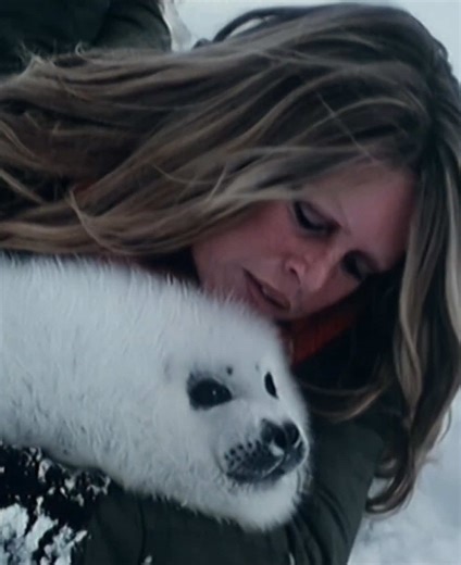 This documentary is so special to me 💗 #brigittebardot #bardot #animals #seals #lesanimaux