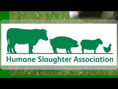 The Humane Slaughter Association (HSA)