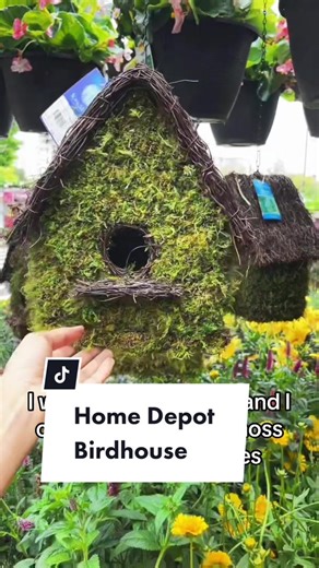 These are so dreamy! . . . . . #gardening #garden #gardeninspo #gardeninspiration #gardeninglife #gardeningtips #gardeninglove #gardeningideas #summergarden #planters #potting #flowers #flowerstagram #flowerlovers #mygardeninspiration #gardendesign #birdhouse #gardendecorideas