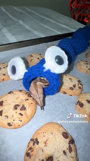 Adorable Cookie Monster Pet Snake